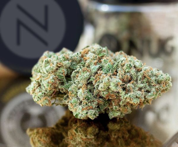 Discover the Benefits of Buying Weed Online in Canada